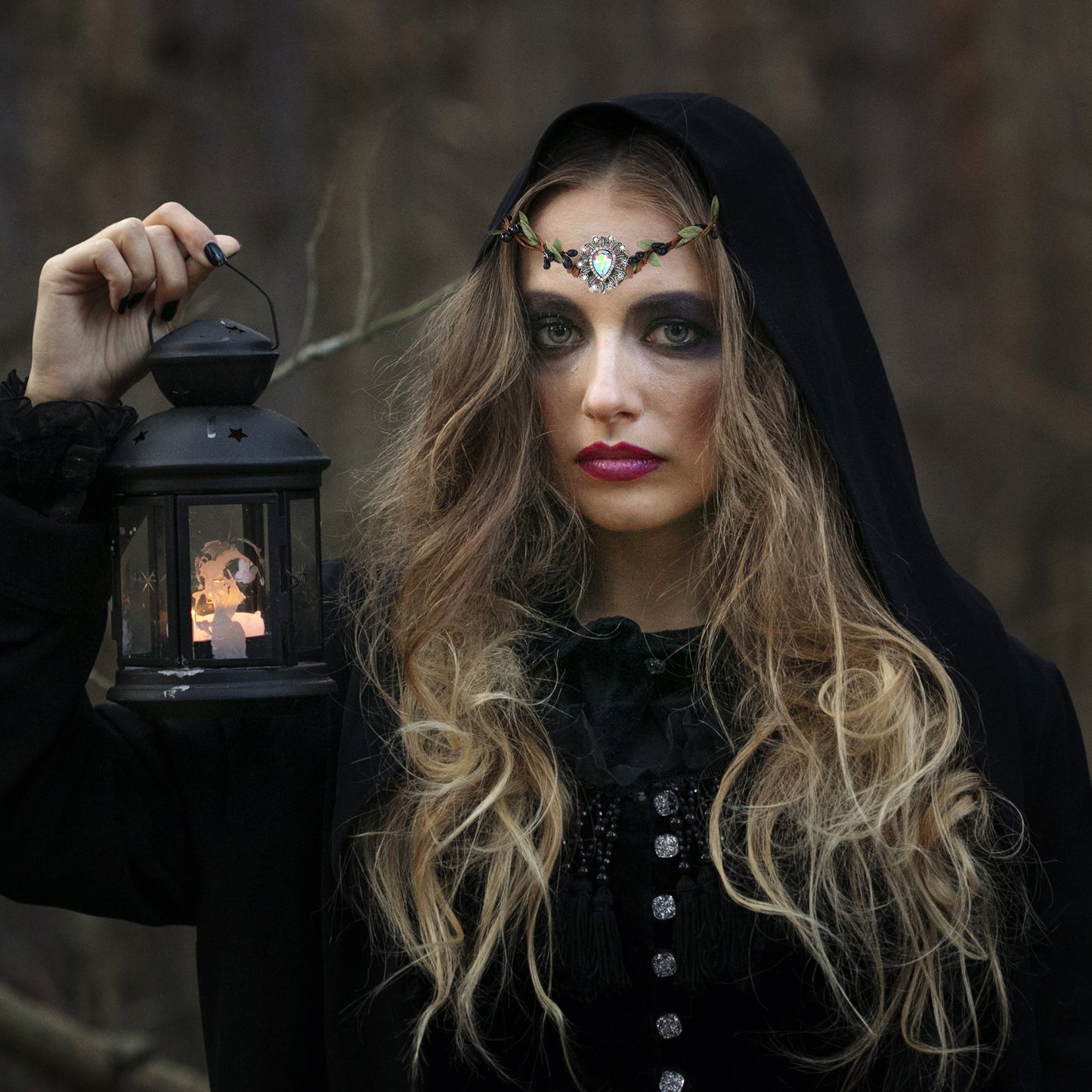 Woodland Forest Crown Black Twigs: Elf Vine Headpiece, Colored Crystal Circlet